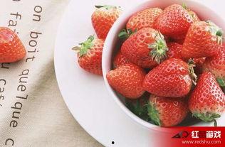 娱乐吃瓜酱草莓视频下载,娱乐吃瓜酱带你轻松获取热门娱乐内容